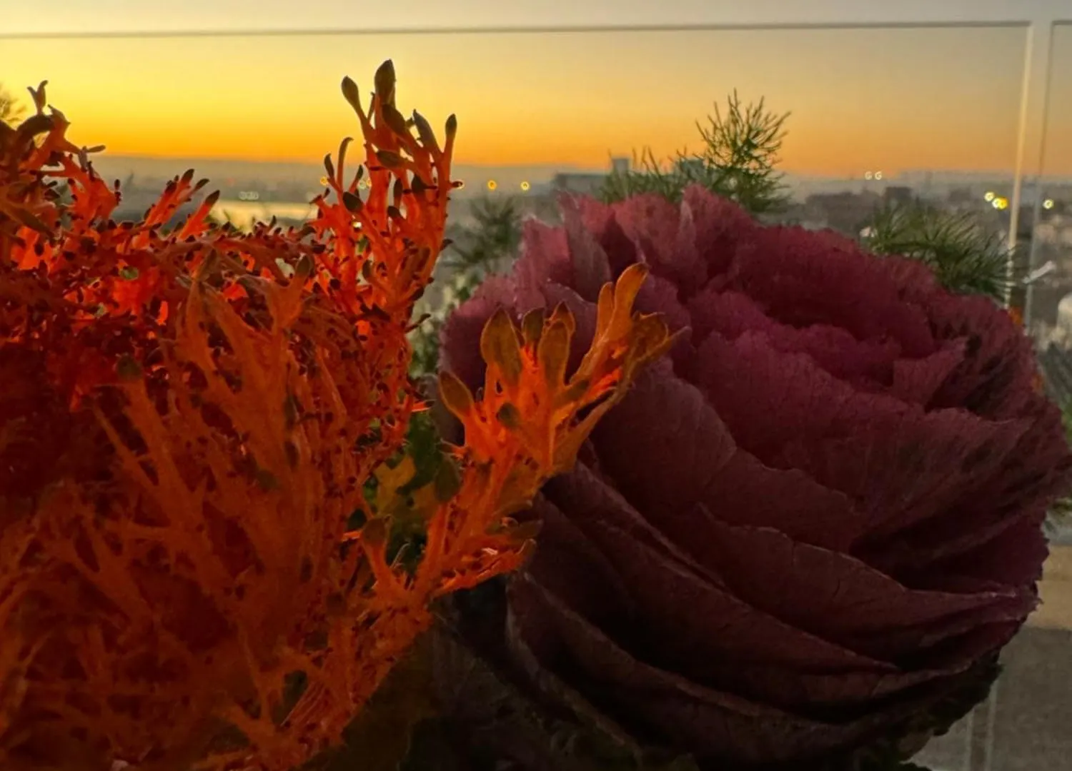 La Terrazza Sul Porto Bed & Breakfast Syracuse 0*,