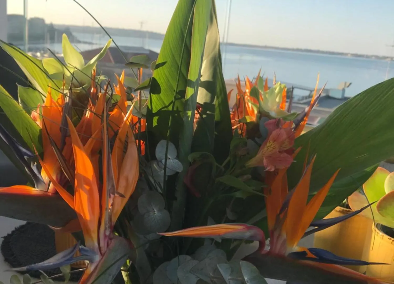La Terrazza Sul Porto Bed & Breakfast Syracuse