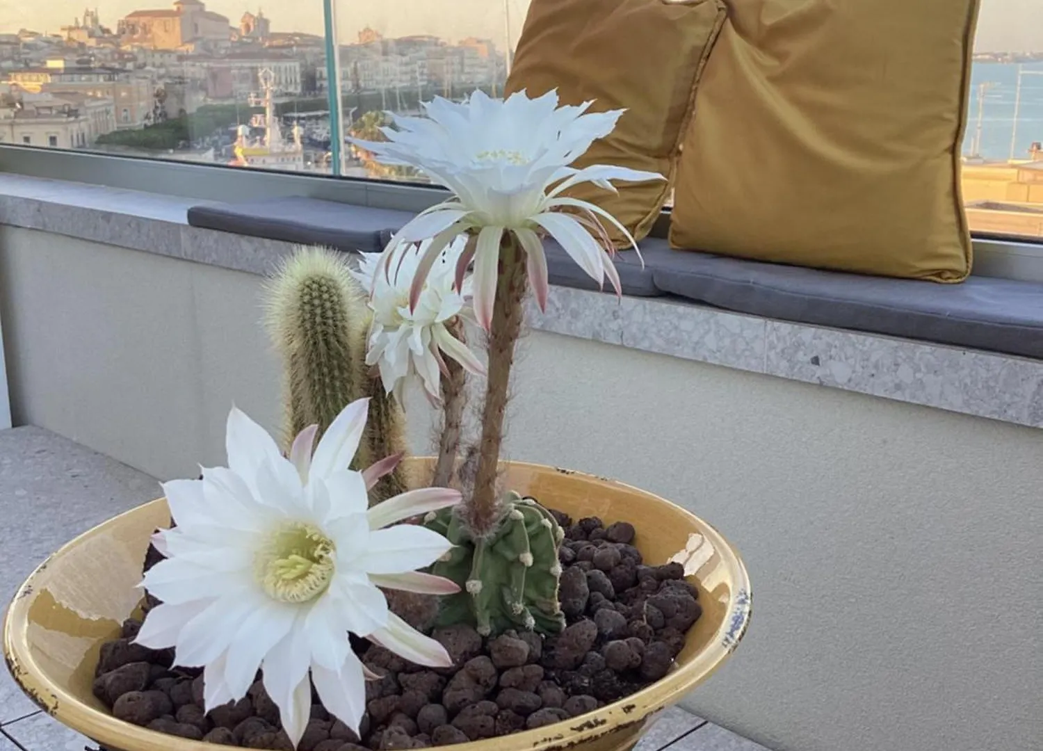 La Terrazza Sul Porto Bed & Breakfast Syracuse