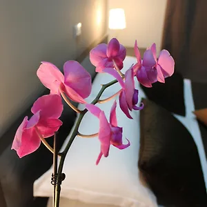 visit hotel